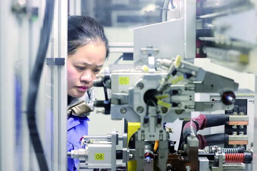 開門紅 諸暨企業吹響沖鋒號 軟件開發行業迎來新機遇